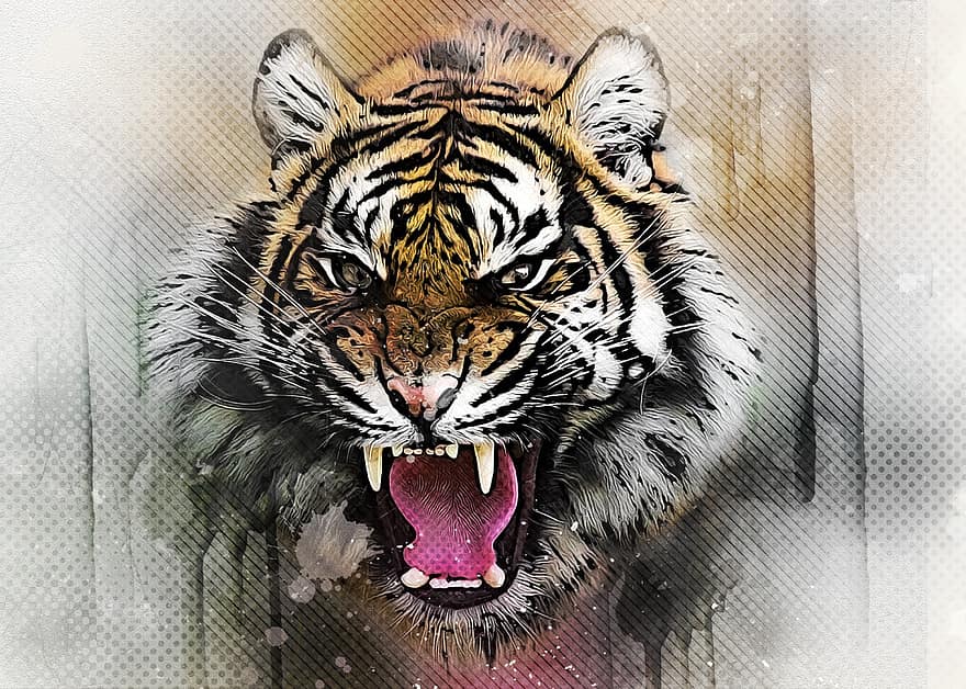 虎、ネコ、捕食者、動物、危険な、自然、哺乳類、猫科、野生動物、山猫、デジタル操作