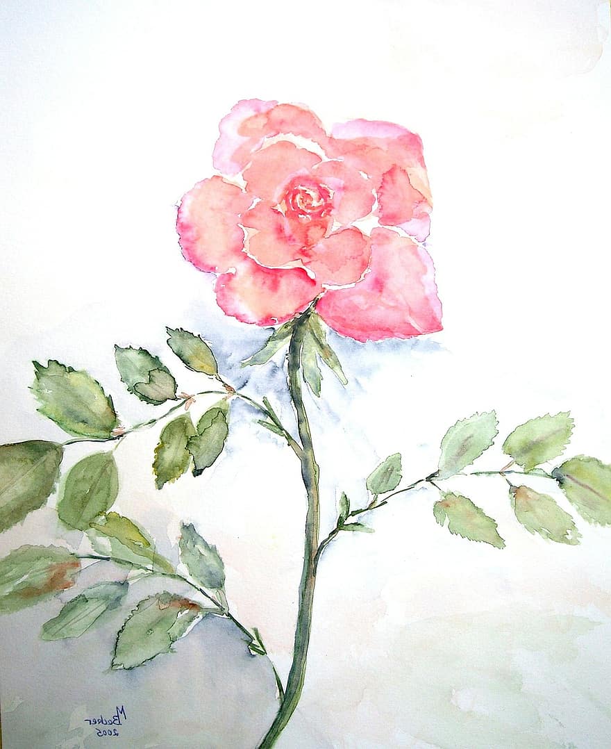 Rose, fleur, Floraison, La peinture, image, art, peindre, Couleur, artistiquement, peinture d'image, artistes