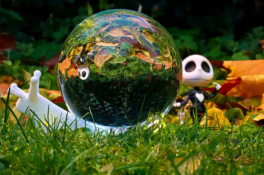 esfera de cristal, bola de cristal, hierba