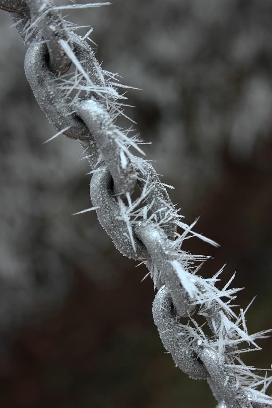 Chain Links, Hoarfrost, Winter, Ice, Crystals, Frost, Cold, Snow, Nature, close-up, sharp