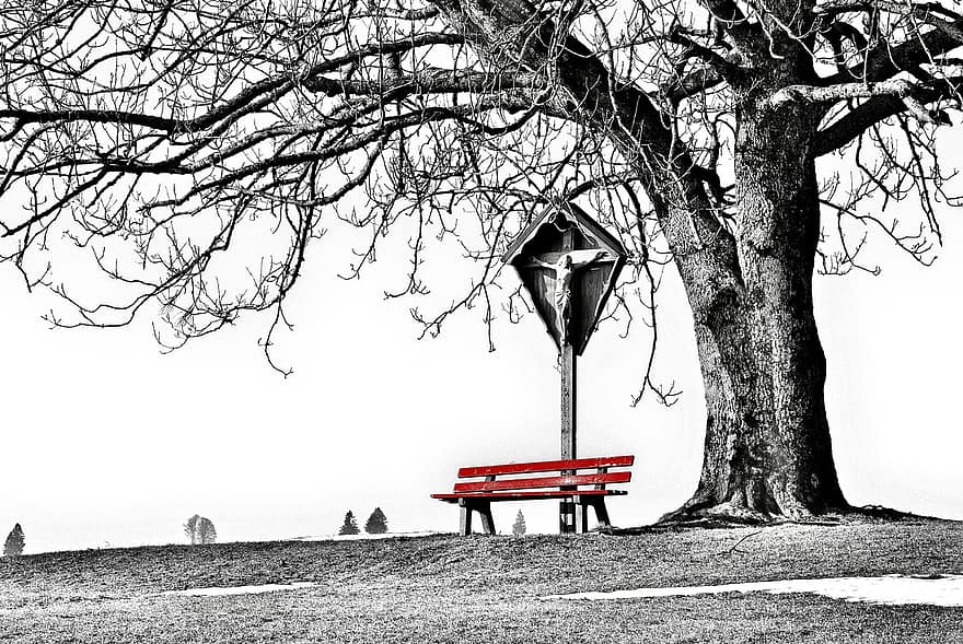 park, allgäu, Příroda, Černý a bílý, strom, lavice, sedící, větev, sedadlo, dřevo, lucerna