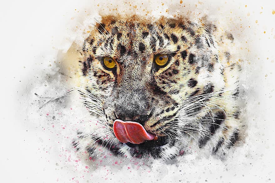 leopard, zvíře, umění, abstraktní, vodové barvy, vinobraní, kočka, Příroda, barvitý, umělecký, design