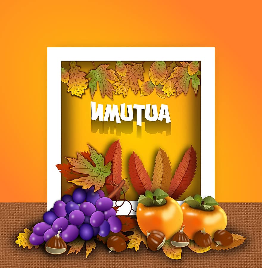 秋、季節の、駅、果物、フローラル、10月、枠、ぶどう、カチョ、柿、栗