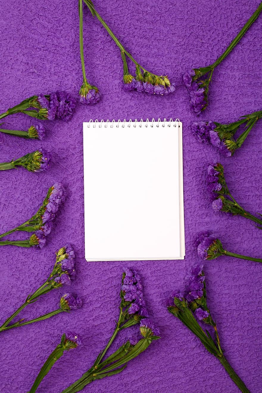rám, květinový rámeček, notebook, kopie prostor, ploché ležel, fialové květy, šablona, květinové maketa, květinové kompozice