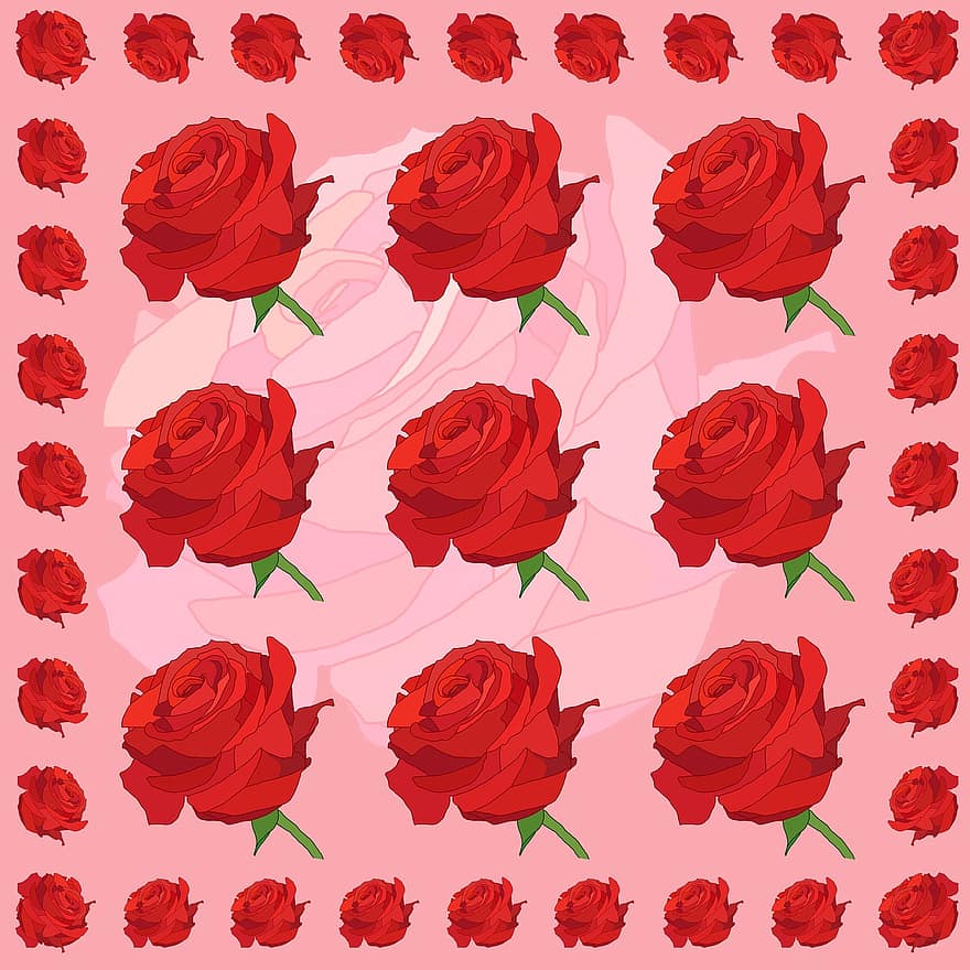 achtergrond, roos, bloemen, rood, rozen, roze bloem, rode roos, bloem