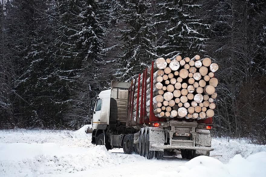 erdő, kamion, Favágók, fakitermelés, erdészet, rönk, természet, szállítás, kocsi, fűrészáru, téli