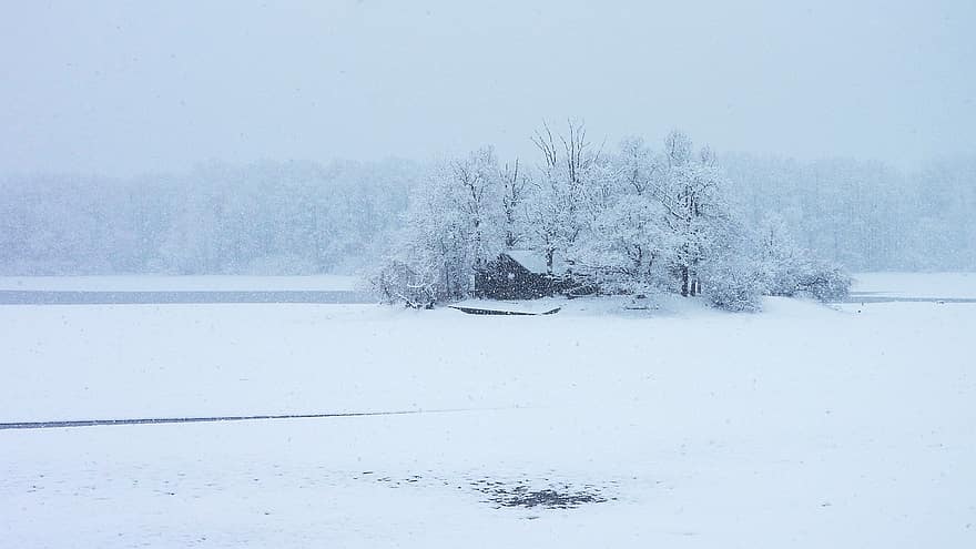 māja, sniegs, ezers, ziemā, Ziemassvētki, dīķis, salu, koki, ārā, brīvdienas, auksts