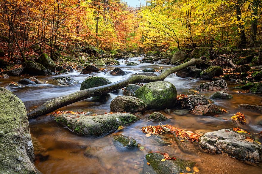 осень, холостяк, поток, ручей, горные породы, деревья, леса, редколесья, осенний лес, длительное воздействие, Ilsetal