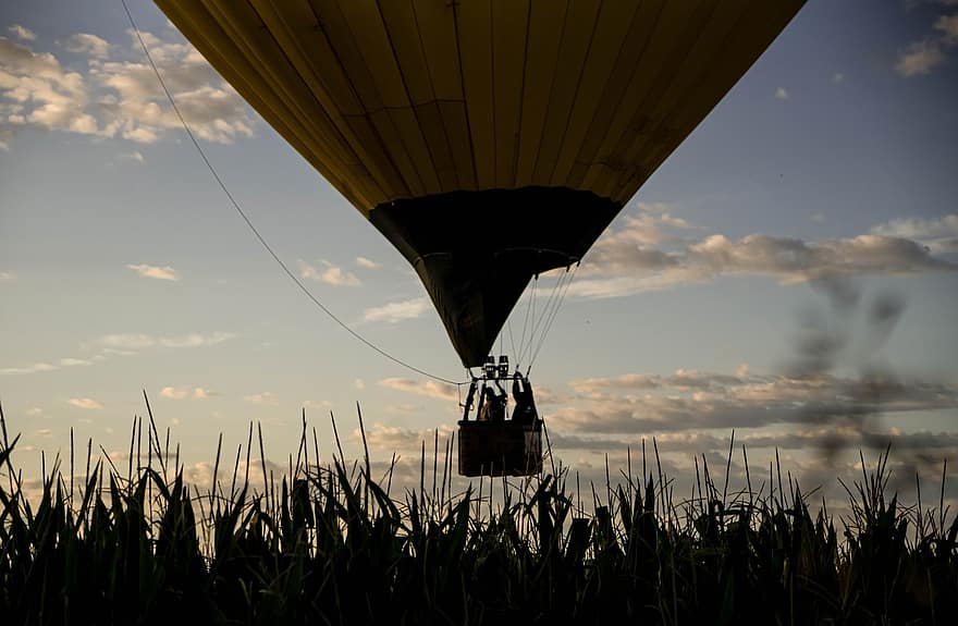 gaisa balons, koki, lidojums, ielejā, raksturs, dom