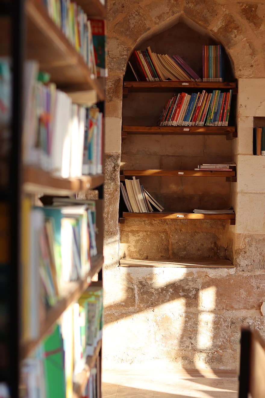 Book Shelf, Books, Reading, Studying, library, book, bookshelf, education, shelf, indoors, literature