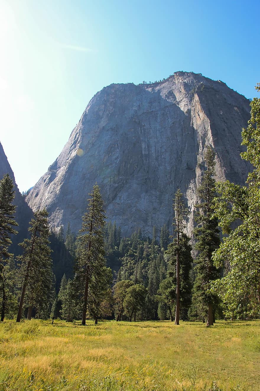 Yosemite, Kalifornia, Yhdysvallat, maisema, luonto, taivas, metsä, vuoret, laakso, Puut, woods