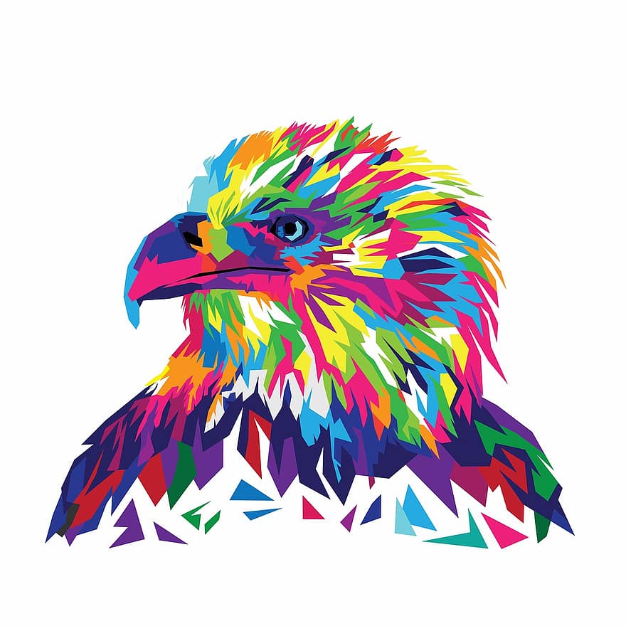 ørn, Eagle Vector, Vektor illustration, eagle head, design, dyr, natur, dyreliv, grafik, vild, form