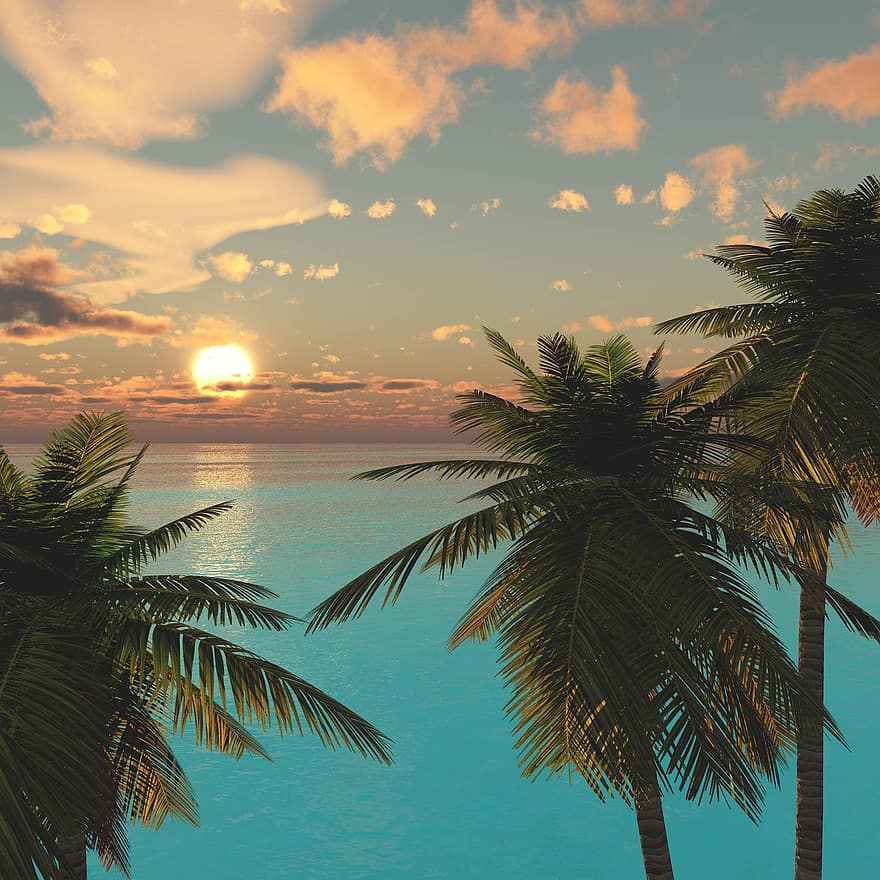 Strand, solnedgang, paradis, skyer, hav, soloppgang, sommer, tropisk klima, ferier, palmetre, sol