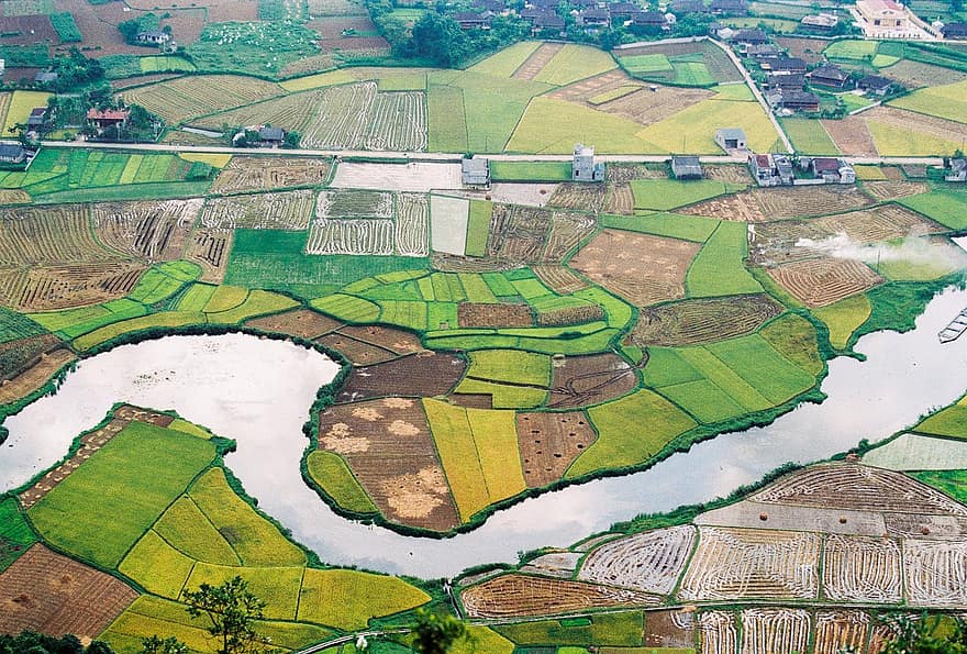 оризови полета, река, околност, селски, изглед от въздуха, пейзаж, природа, ферма, селско стопанство, селска сцена, земя