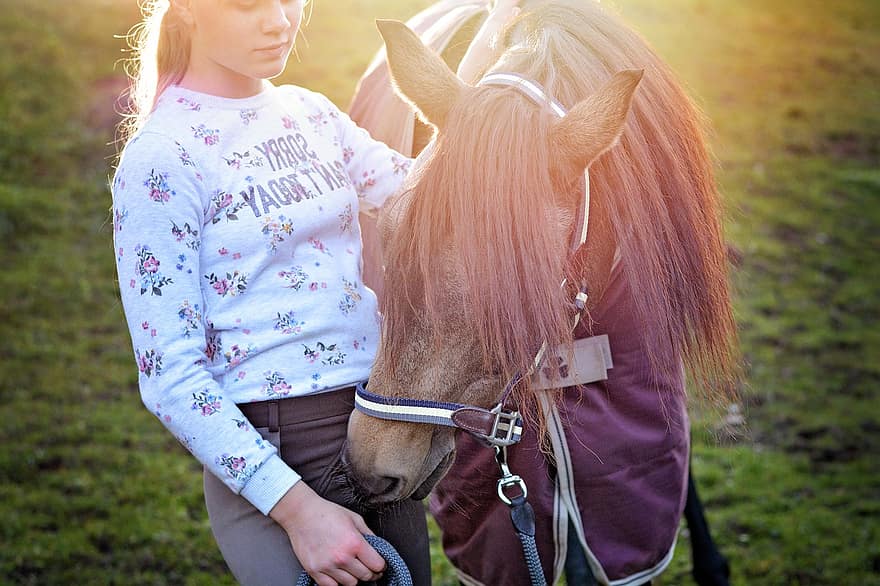 kuda, kuda poni, gadis, mengendarai kuda poni, hewan, mamalia, wanita muda, wanita, padang rumput