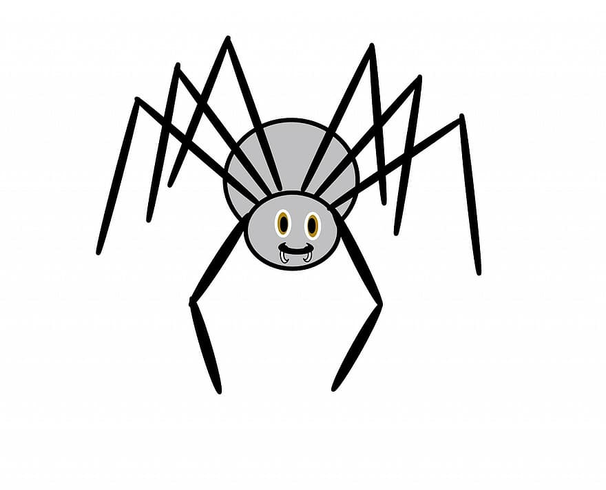 Spider, Scary, Halloween, Web, Design, Card, Invitation, Long Legs, Charlotte
