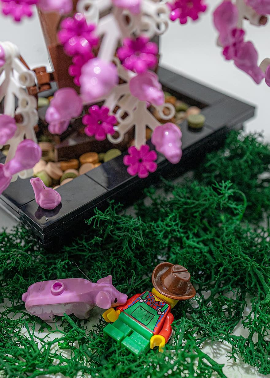 lego, Lego de la ferme, fleurs de cerisier, porc, fleurs roses, Fermier endormi Lego, jouet, fleur, décoration, couleur rose, plante