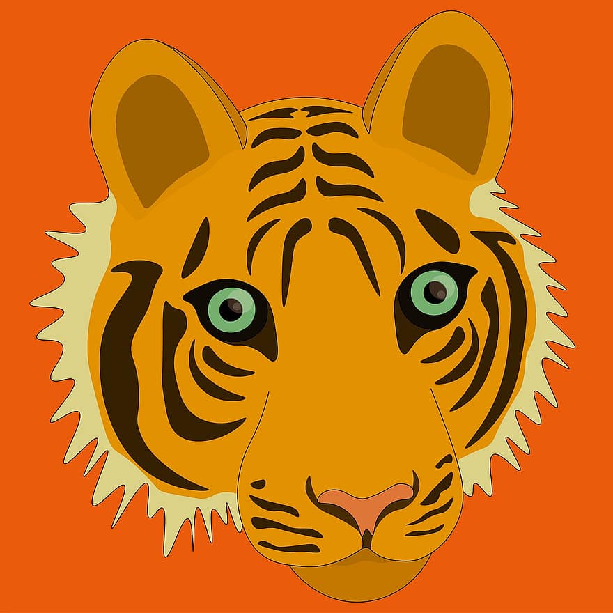 tigre, félin, des rayures, contour, modèle, ligne, silhouette, animal, sauvage, illustration, animaux à l'état sauvage