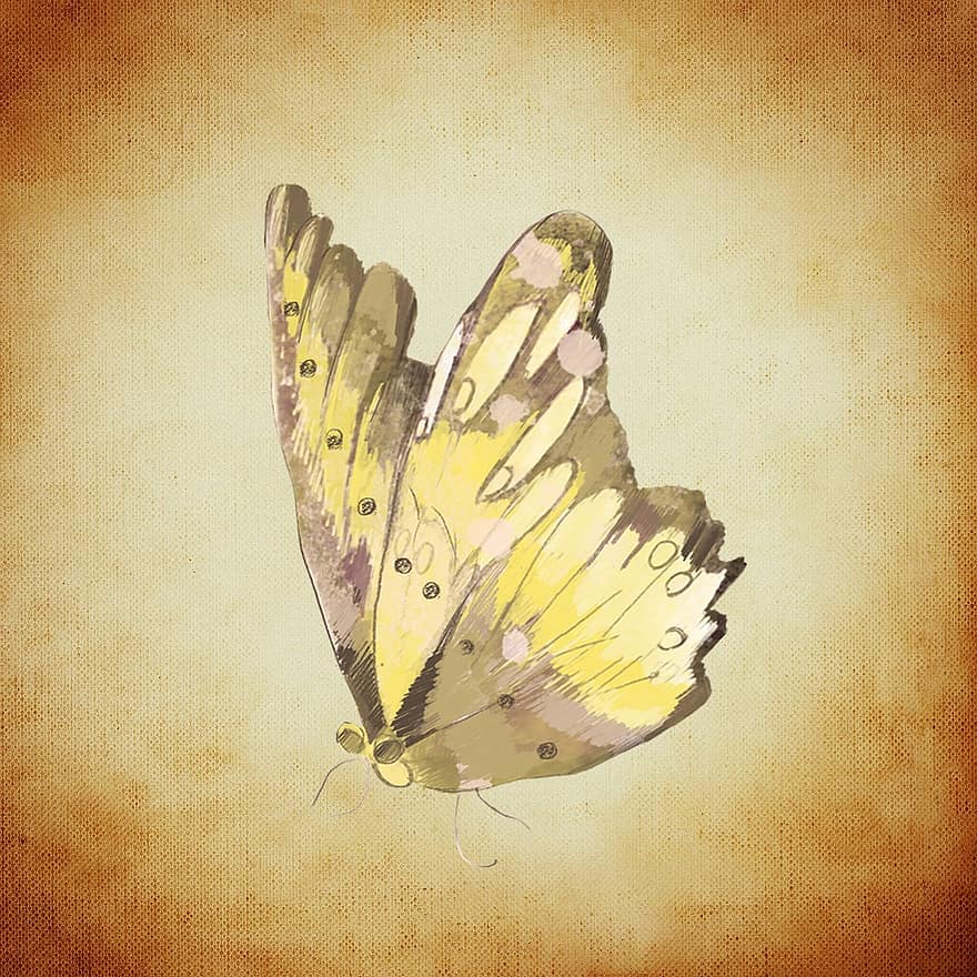 vlinder, geel, insect, vliegend
