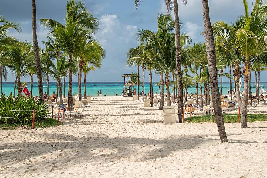 spiaggia, caraibico, Paradiso, palme, Messico, mare, isola, ricorrere, sabbia, estate, vacanze