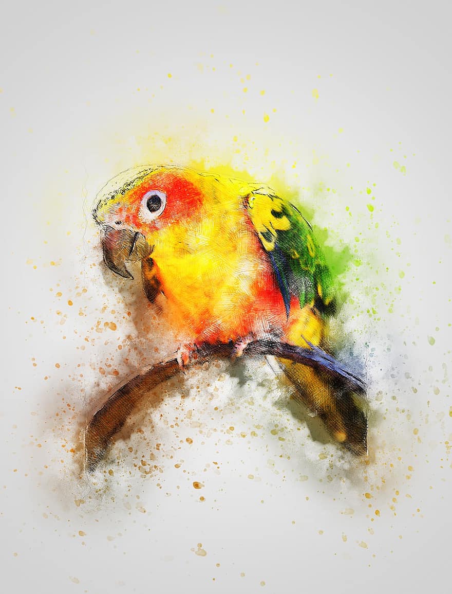 pájaro, color, animal, Art º, resumen, vendimia, acuarela, pluma, naturaleza, artístico, camiseta