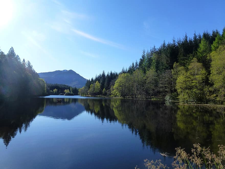 lago, foresta, Scozia, natura