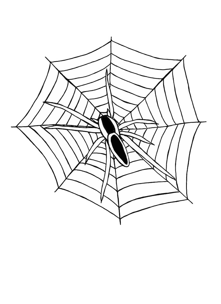 Spider, Web, Cobweb, Halloween, Insect, Sketch