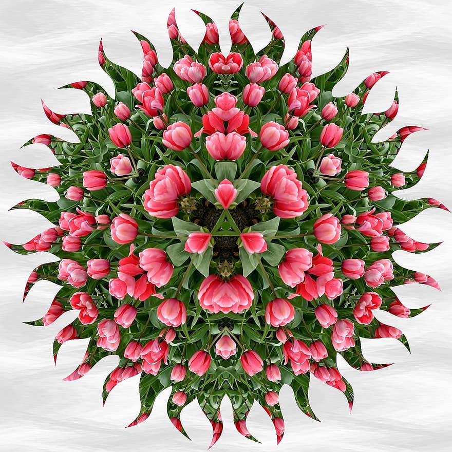 Mandala, kuvio, tulppaanit, ornamentti, koriste-, kukka-, kukat, kaleidoskooppi, kukka koriste