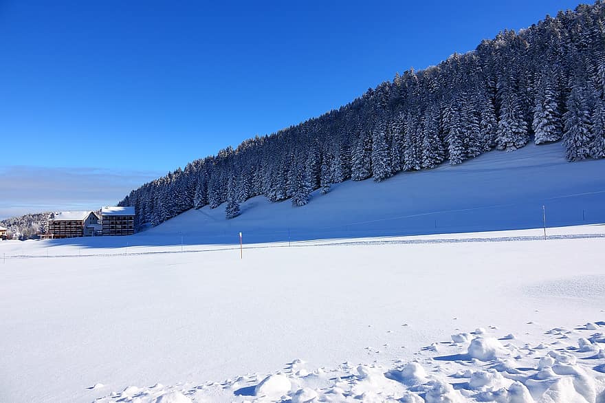 hegy, hó, fák, állomás, Alpe Du Grand üvegház, Franciaország, Karácsony, téli