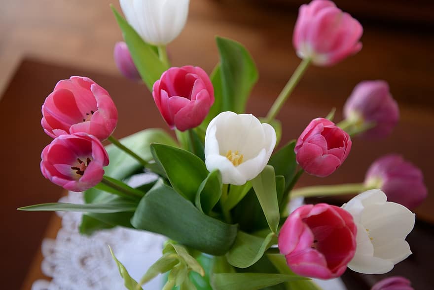 blomster, tulipaner, en haug med blomster, bukett, blomst, blomstre