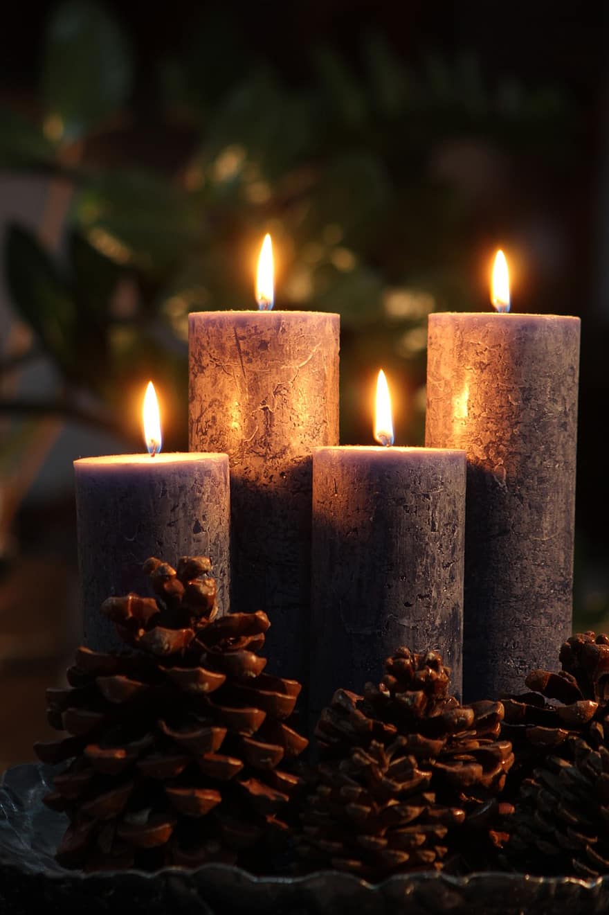 świece, światła, szyszki sosnowe, dekoracyjny, dekoracja, Boże Narodzenie