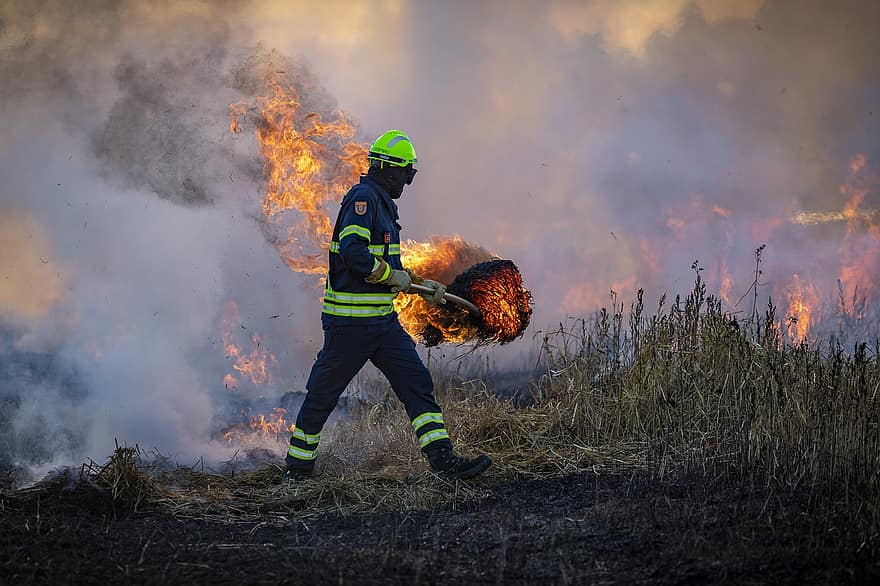 fire, field, firefighter, flame, natural phenomenon, burning, men, heat, temperature, occupation, working