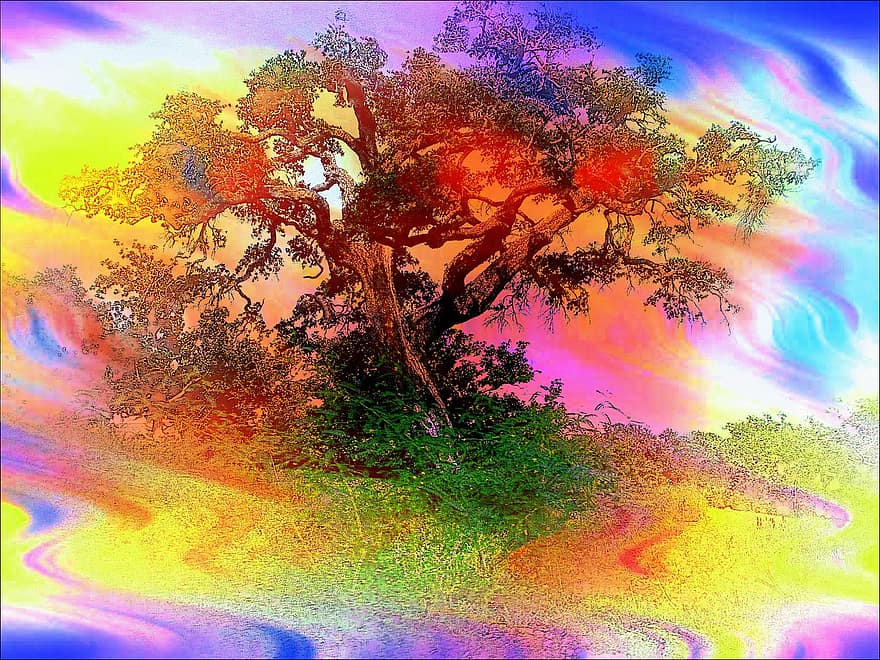 Puut, abstrakti, oksat, suuri, kasvit, iso, sateenkaaren värit, värikäs, tausta, taiteellinen, taideteos