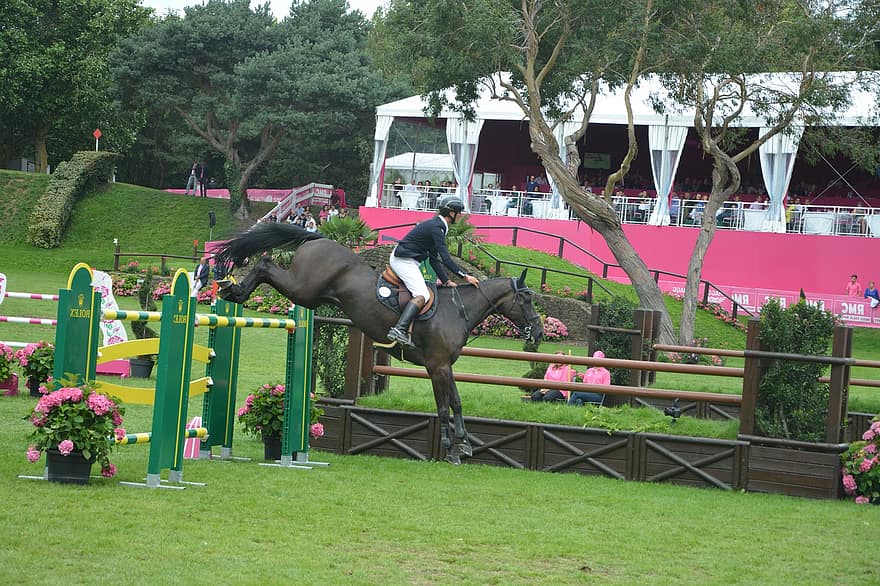 Jumping De Dinard, Horse Jumping, Equestrian, Horse, Horseback, Dinard, sport, competition, riding, grass, fence