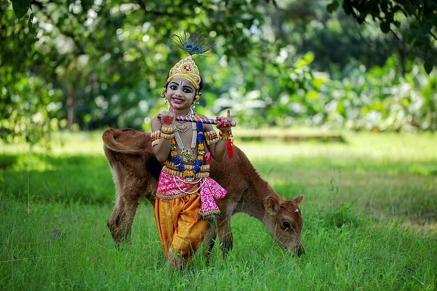 Petit Krishna, fille, costume, vache, veau, animal, Indien, enfant, herbe