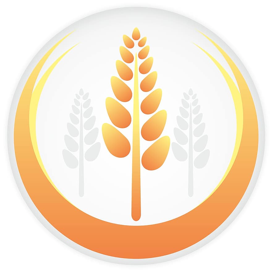 logotip, cereals, agricultura, blat de moro, blat, granja