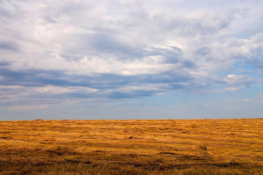 champ, herbe, horizon, tomber, ciel, des nuages, Prairie, Altaï, l'automne, la nature, été