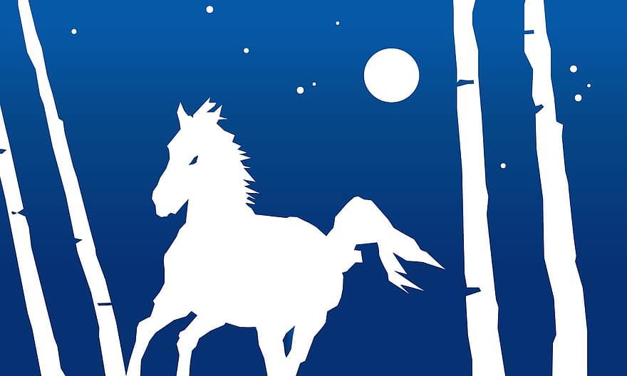 Horse, Night, Mystery, Adventure, Luna, Forest, Gallop, Ride, Race, dom, Middle Ages
