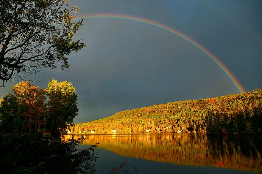 Regenbogen, Herbst, Natur, fallen, Jahreszeit, draußen, Bäume, See