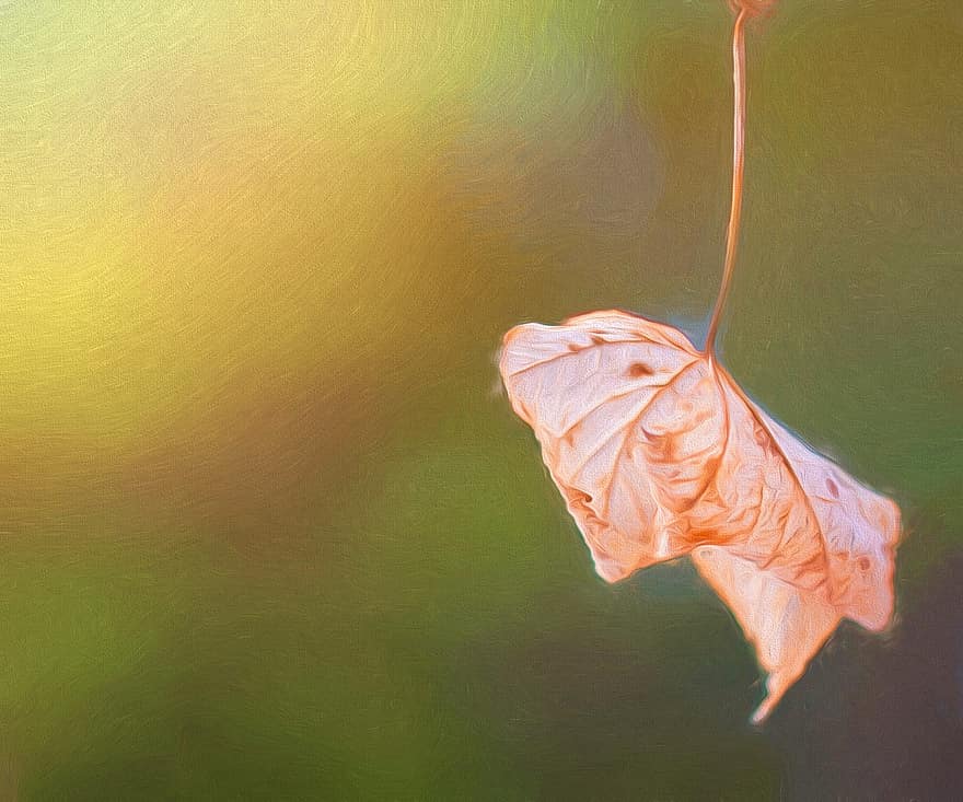 Image, Painting, Paint, Art, Leaf, Autumn Leaf, Leaves