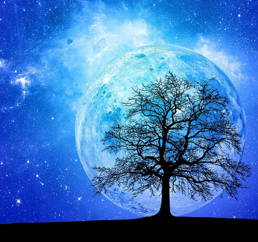 bleu, espace, arbre, science-fiction, fantaisie, nébuleuse, ciel, paysage, silhouette, Terre, Jour de la Terre
