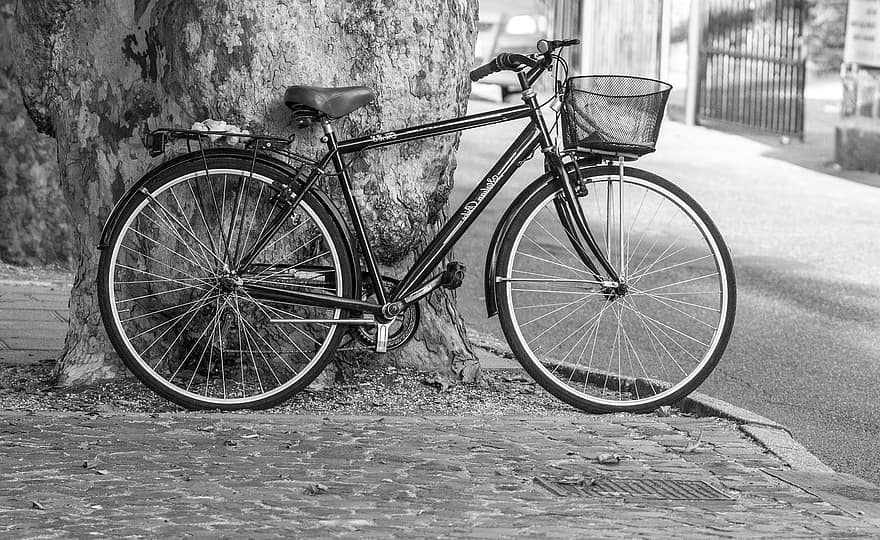 bicikli, kerékpár, szabadban, jármű