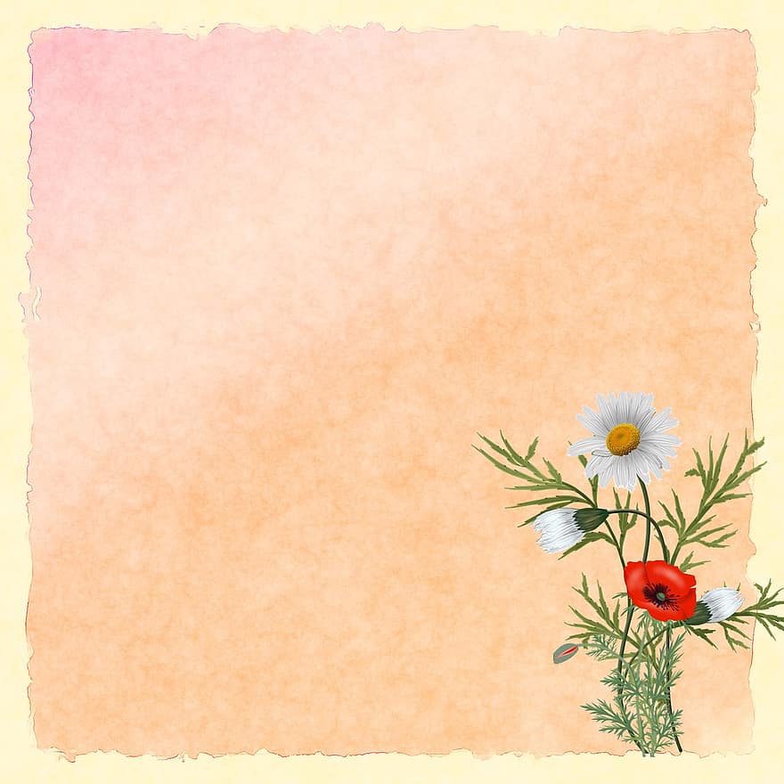 Paper, Background, Flowers, Nature, Drawing, Poppies, Spring