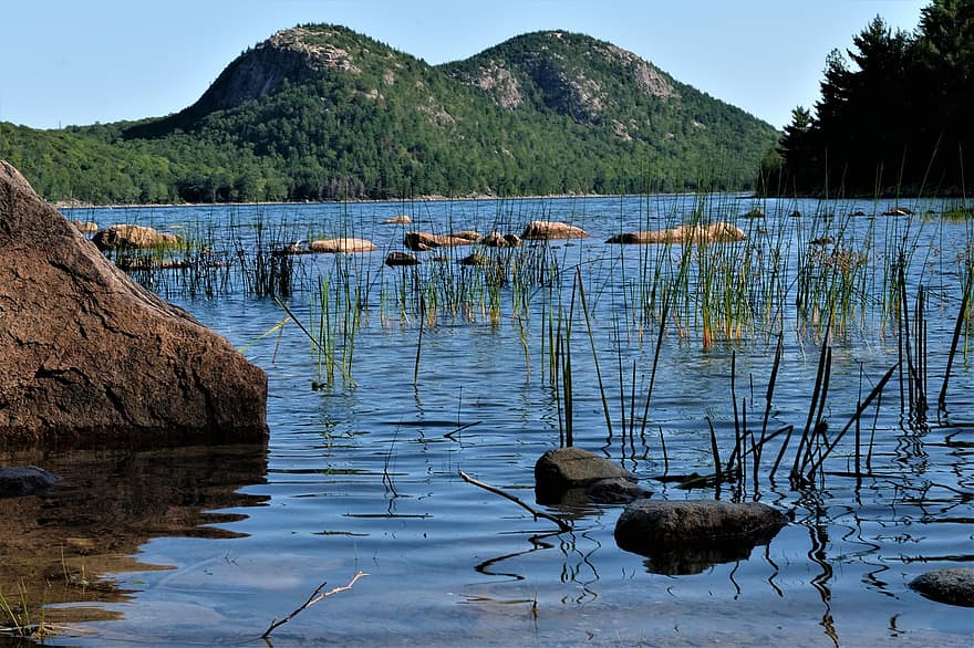 montanhas, lagoa, grama, plantas, rochas, reflexão, jordan pond, Acadia Maine, agua