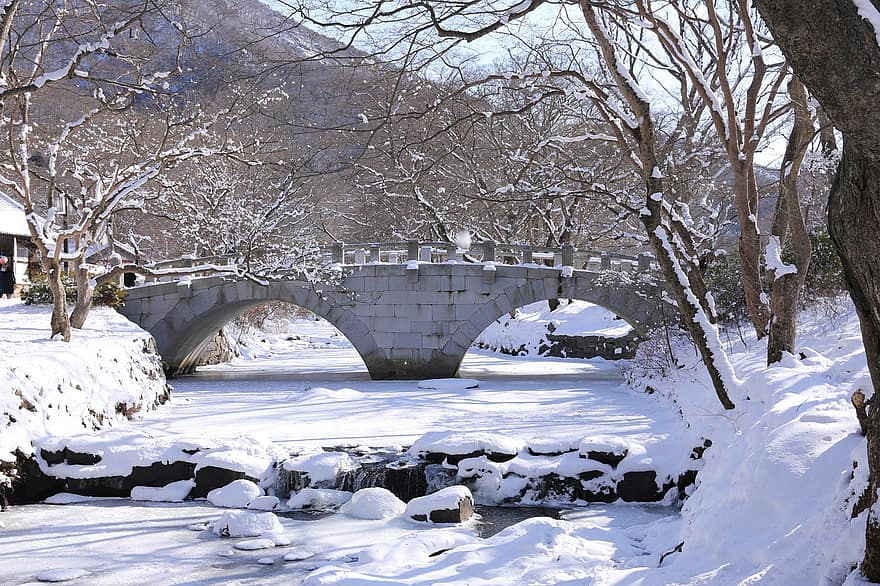 natur, bro, vinter, snø
