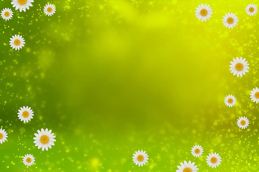 पृष्ठभूमि, हरा, वसंत, फूल, खिलना, फूल का खिलना, पीला, सफेद, ईस्टर, रोशनी
