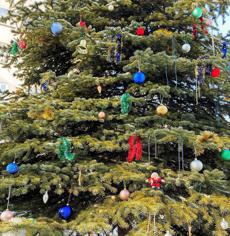 pohon Natal, ornamen, dekorasi, pohon, merapikan, liburan, perayaan, musim, dekorasi Natal, musim dingin, hiasan Natal