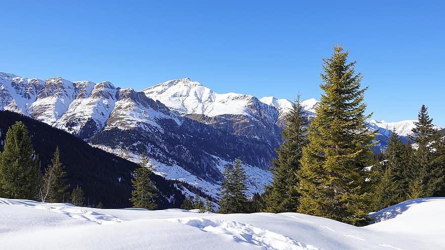 iarnă, zăpadă, munţi, peisaj, natură, copaci, vârf, acoperit cu zăpadă, peisaj de iarnă, Vals, Graubünden