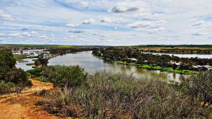 sungai murray, Australia Selatan, sungai, more, lahan basah, australia, pemandangan, air, pemandangan pedesaan, biru, musim panas