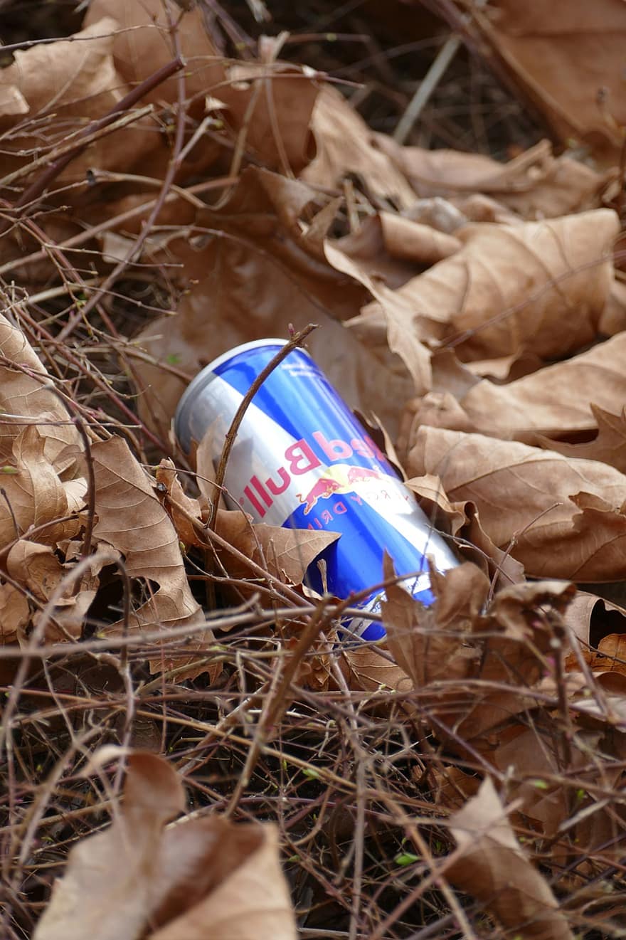 Red Bull, drinque suave, bebida energética, desperdício, jogar fora, poluição, lixo, reciclando, folha, outono, garrafa